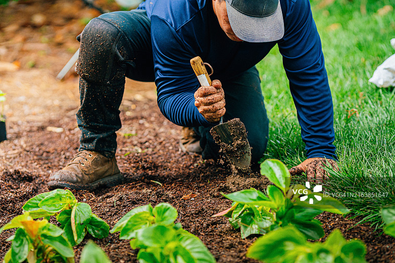 年轻的西班牙裔拉丁裔男子用铲子挖洞，在社区绿地种植花坛图片素材