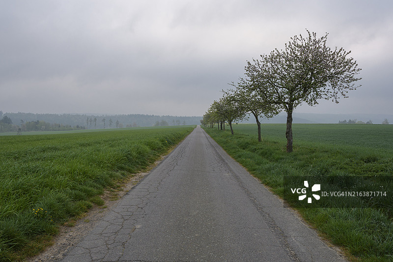 德国黑森州米凯尔施塔特附近乡村道路图片素材
