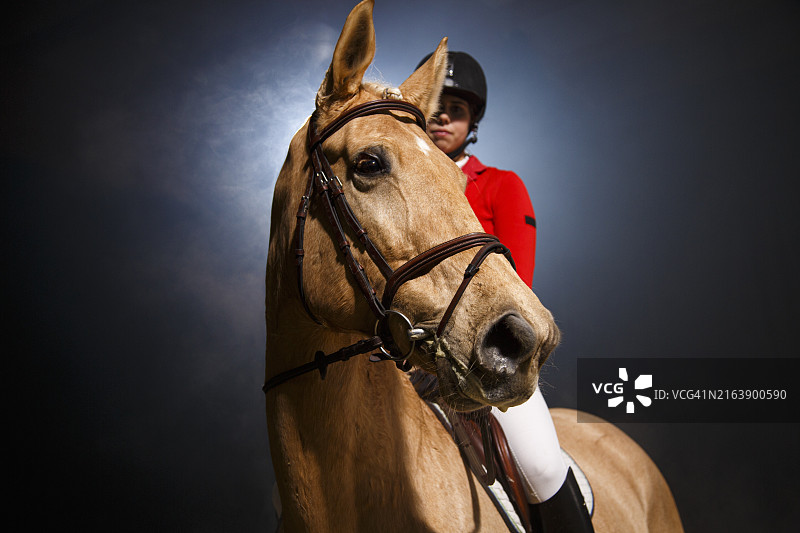马术运动肖像图片素材