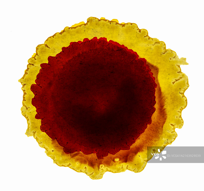 白色背景上混合的红色和黄色涂料分子图片素材