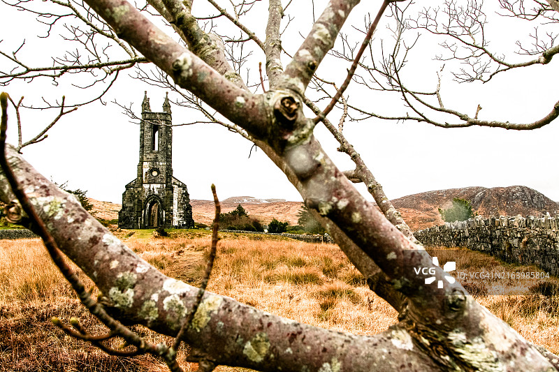 古老的教堂废墟和树木图片素材
