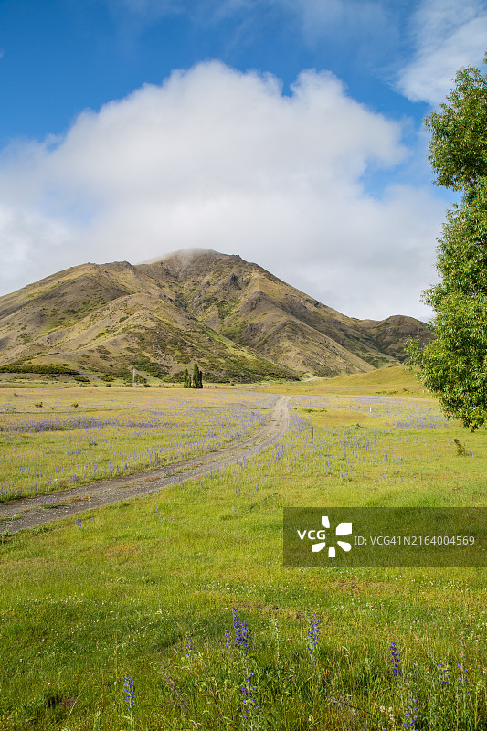新西兰坎特伯雷夏季晴朗蓝天下的克拉伦斯河畔泥土路图片素材