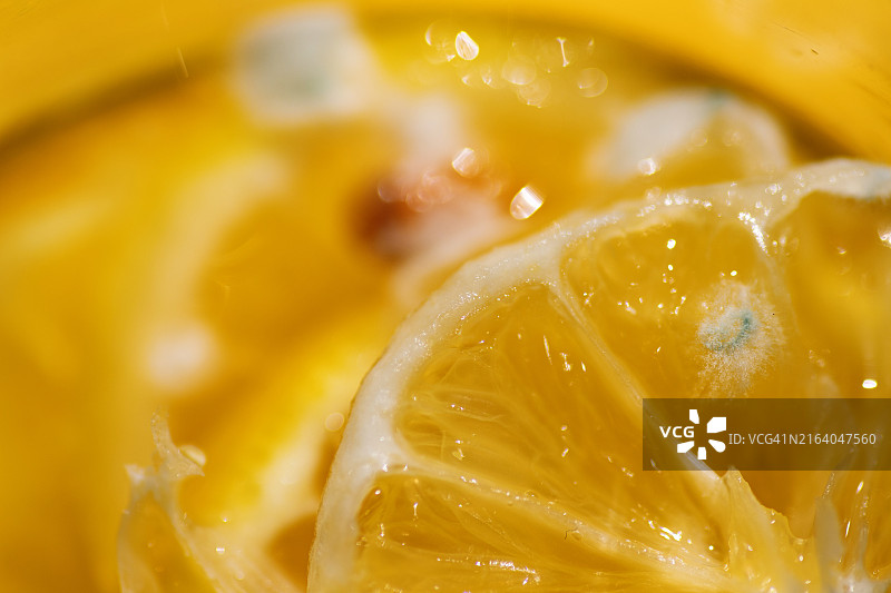 柠檬片上的霉菌特写图片素材