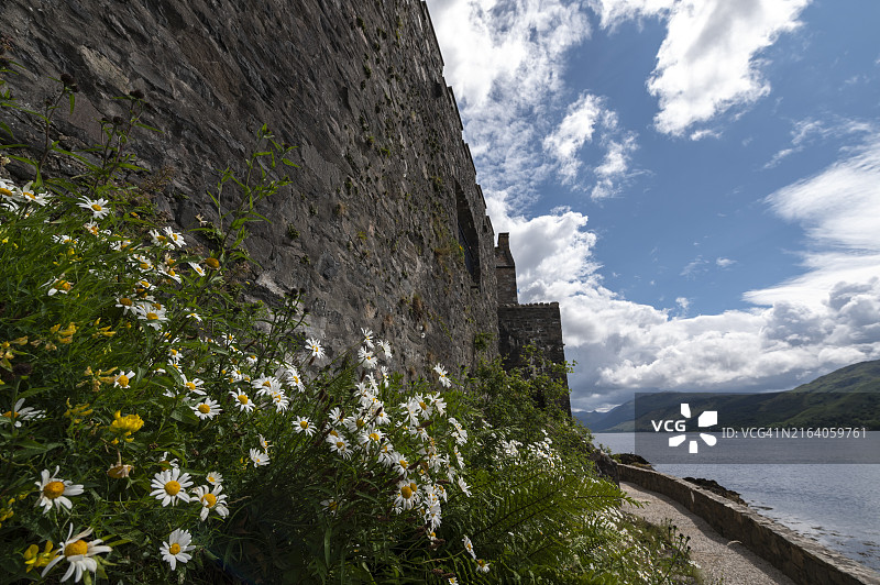 艾琳多南城堡的白色花朵，苏格兰图片素材