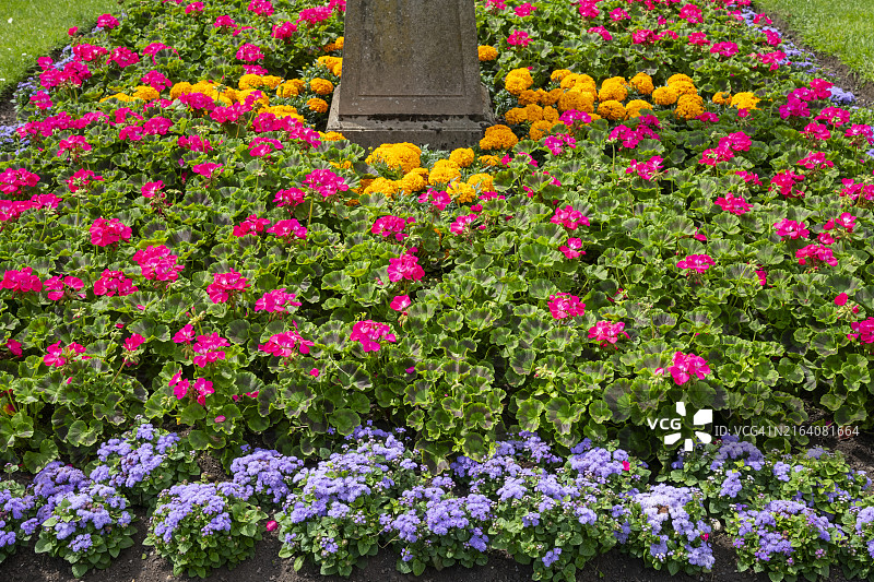 英国公园里的彩色夏季寝具图片素材