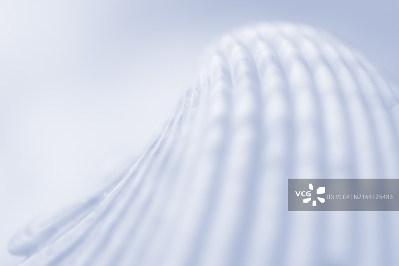 贝壳花纹特写，色彩处理图片素材