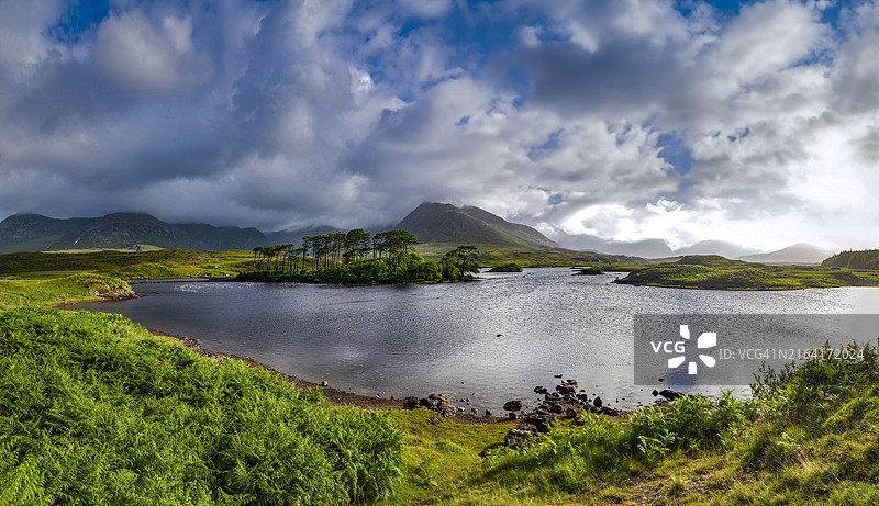 爱尔兰戈尔韦郡康尼马拉德里克莱尔湖上的松树岛图片素材