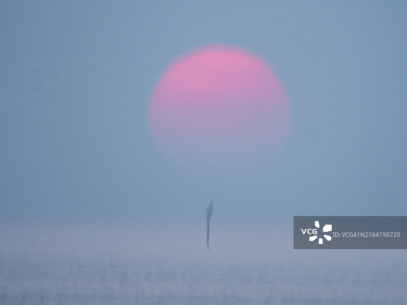 红色黎明图片素材