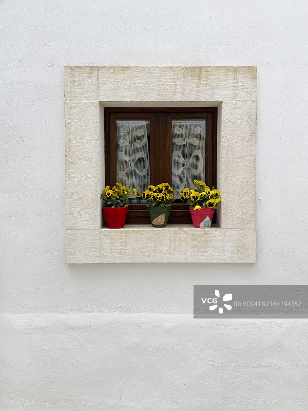 窗台上彩色陶瓷盆中的三株黄色三色堇，意大利洛科罗通多图片素材
