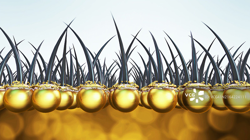 头发护理概念图片素材