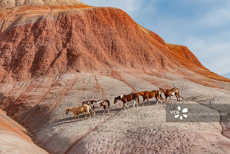 怀俄明州壳牌附近的荒地和马匹，色彩斑斓的荒地岩石图片素材