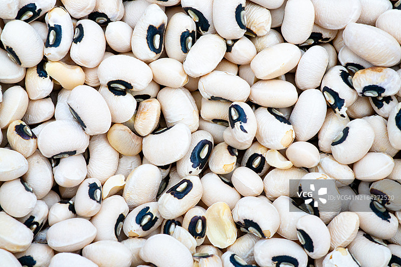 黑眼豆田全幅平铺图片素材