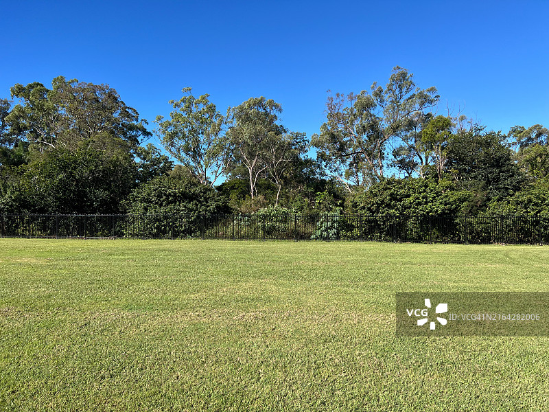 澳大利亚森林边缘的绿色田野景观图片素材