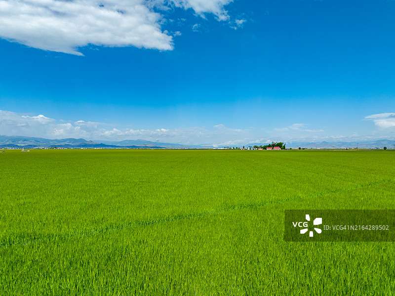 美国爱达荷州班克罗夫特圆形农田景观图片素材