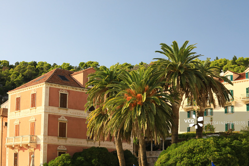 亚得里亚海沿岸克罗地亚村庄的棕榈树与建筑图片素材