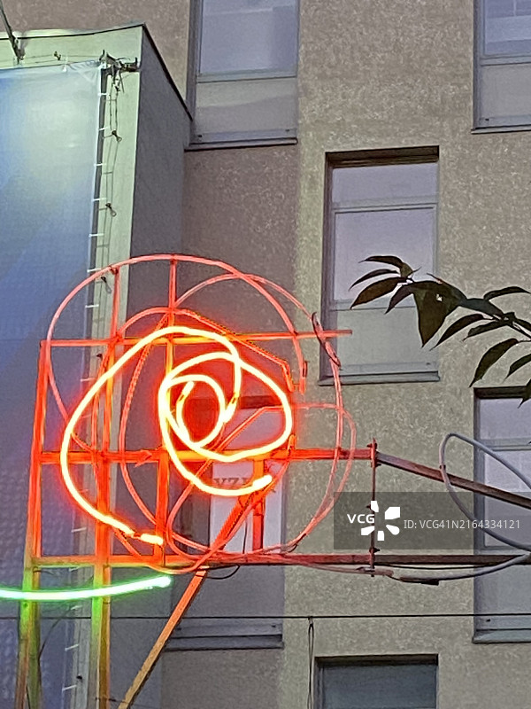 红色霓虹花，波兰卡托维兹图片素材