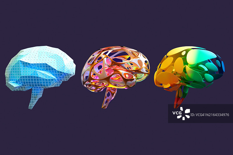 大脑进化图片素材