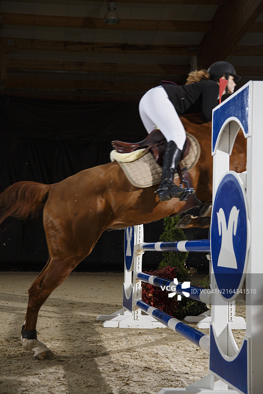 年轻女人和马一起跳过障碍图片素材
