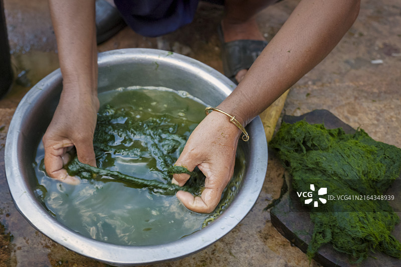 老挝北部偏远村庄妇女清理水绵图片素材