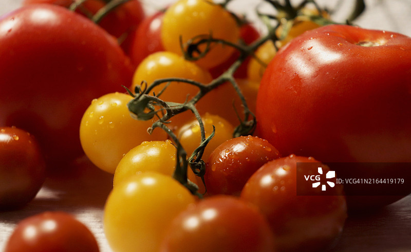 桌子上西红柿的特写图片素材