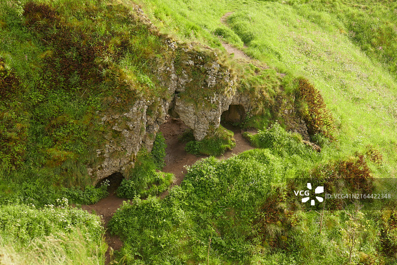 英国贝克韦尔陆地苔藓高角度视图图片素材