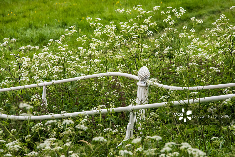 人行道上排列的菠萝顶白色柱子图片素材