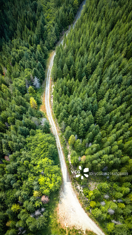 温哥华岛后路图片素材
