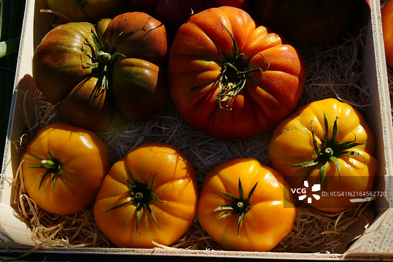 市场摊位上的彩色番茄图片素材