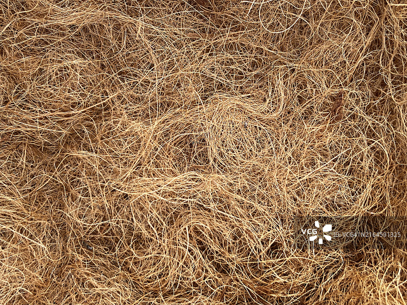 特写椰子纤维图片素材