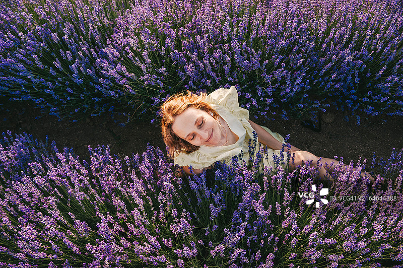 在薰衣草田里年轻高挑的苗条女人图片素材