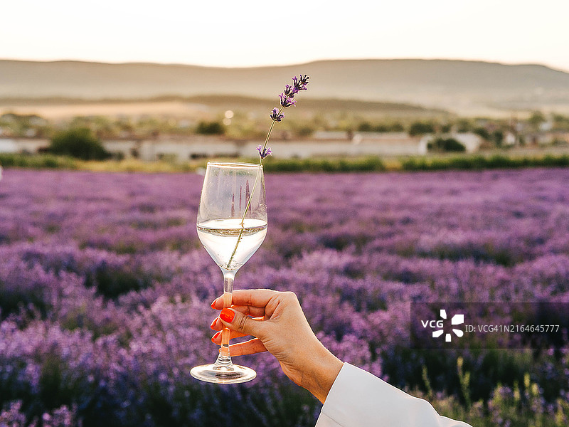 一位女性在薰衣草田野中野餐，手中举着酒或水的杯子。图片素材