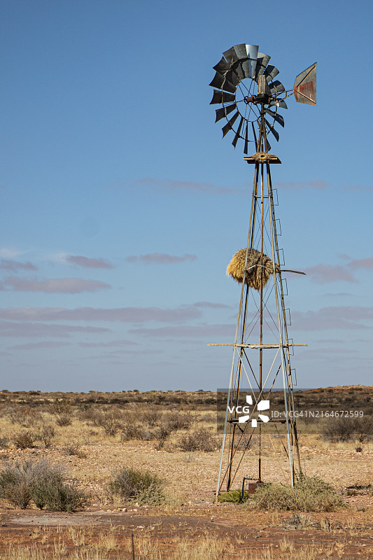 南非干旱景观中风车上的群织雀巢图片素材