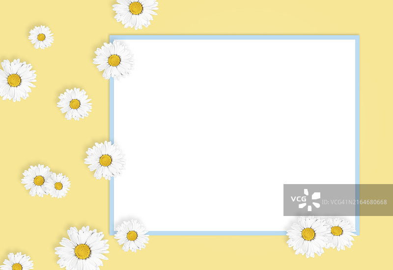 雏菊花与白色相框的扁平风格构图，黄色背景样机图片素材
