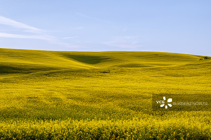 美国华盛顿州科尔顿田野风光图片素材