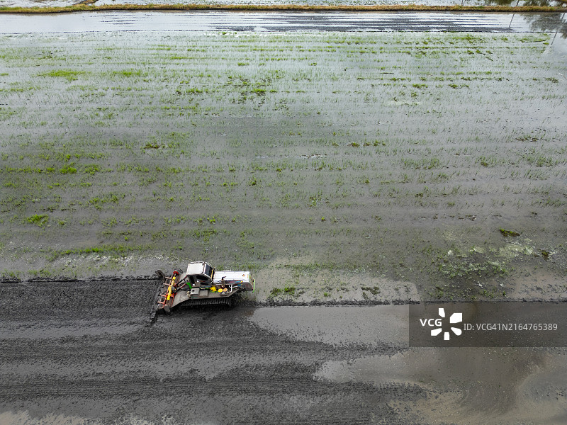 拖拉机在水稻田中耕作鸟瞰图片素材
