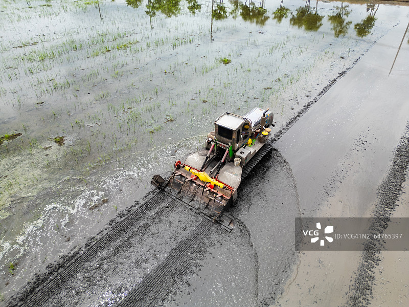 拖拉机在水稻田中准备插秧图片素材