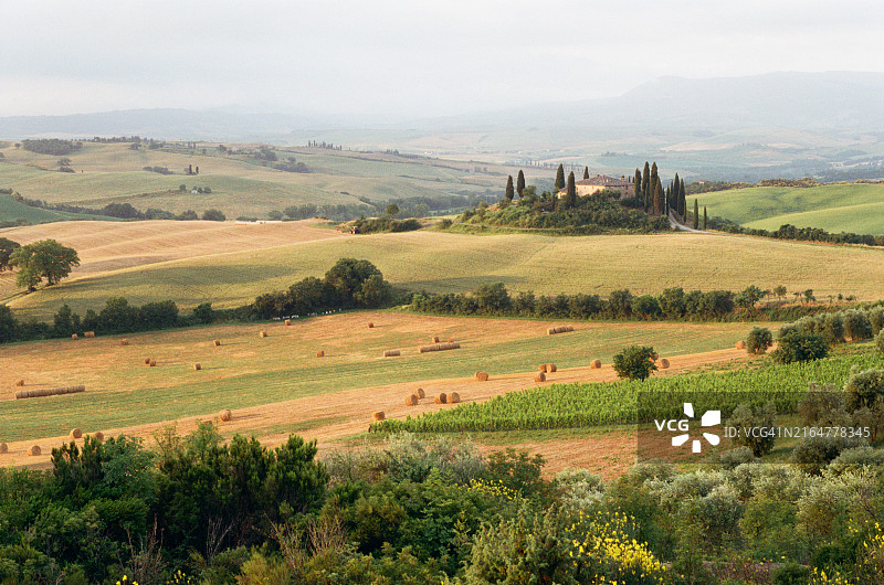 托斯卡纳田园风光：日出时连绵起伏的丘陵和柏树图片素材