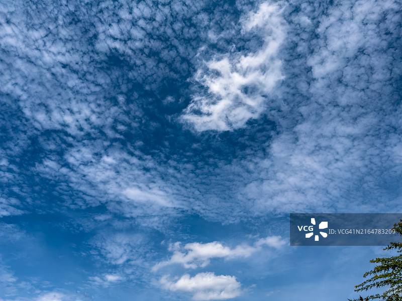 东京酷暑下的夏日天空图片素材