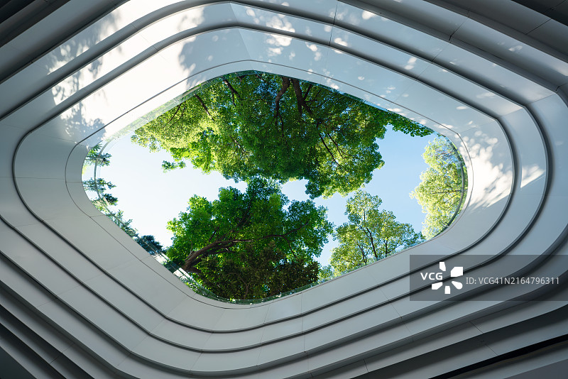 天空下的树图片素材