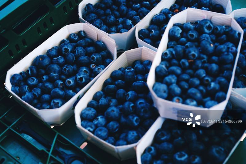 农贸市场上的新鲜蓝莓，多个盒子装满浆果图片素材