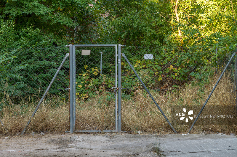 围栏后面的野生植物图片素材