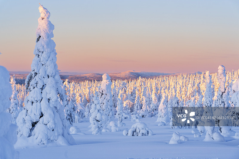 拉普兰日出时的冰雕图片素材