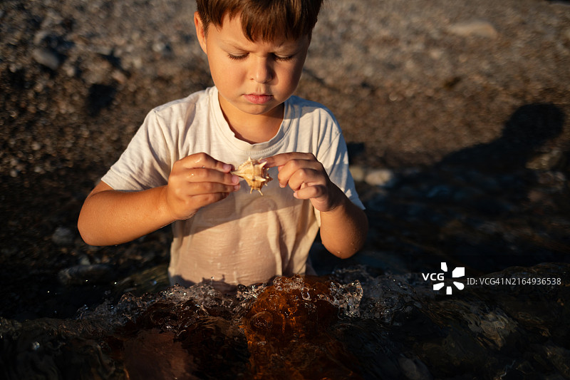 一个患有自闭症的六岁男孩穿着全套衣服，半身浸在水中，仔细观察着一个贝壳图片素材