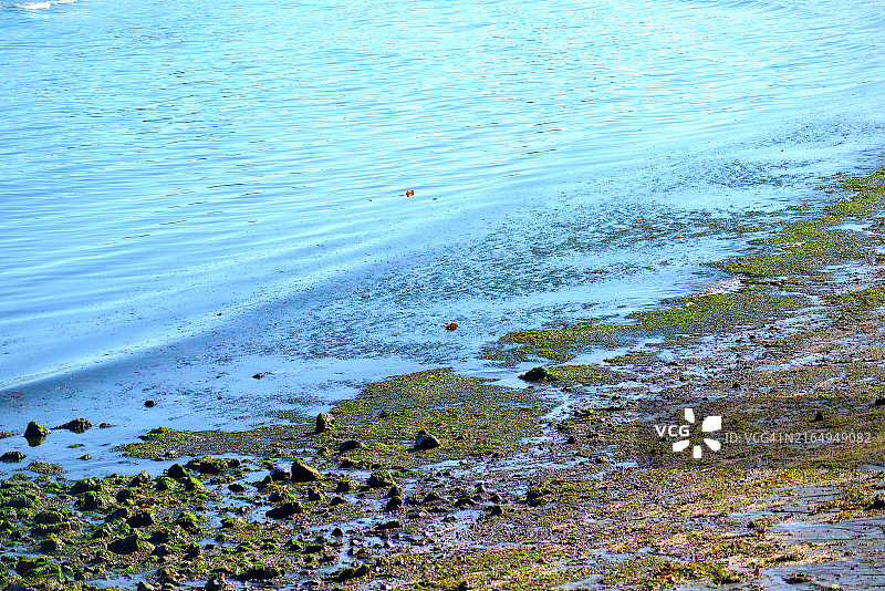 普吉特海湾图片素材