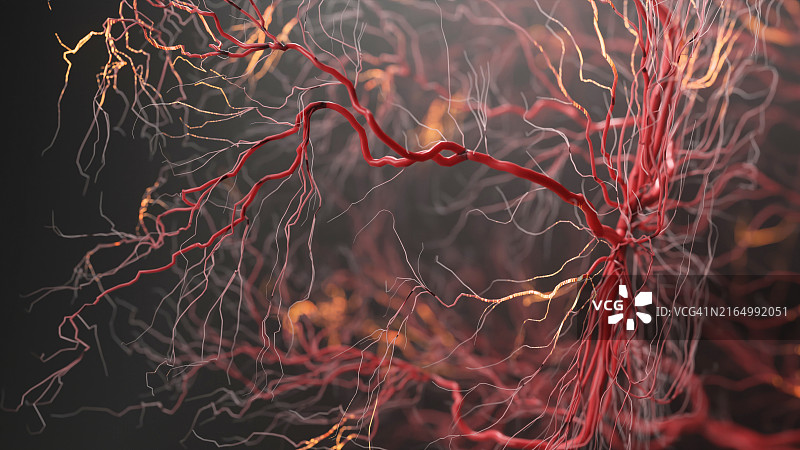 神经元放电图片素材