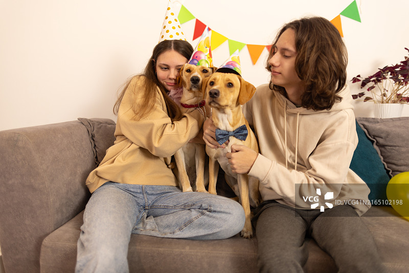 两只可爱小狗的生日派对图片素材