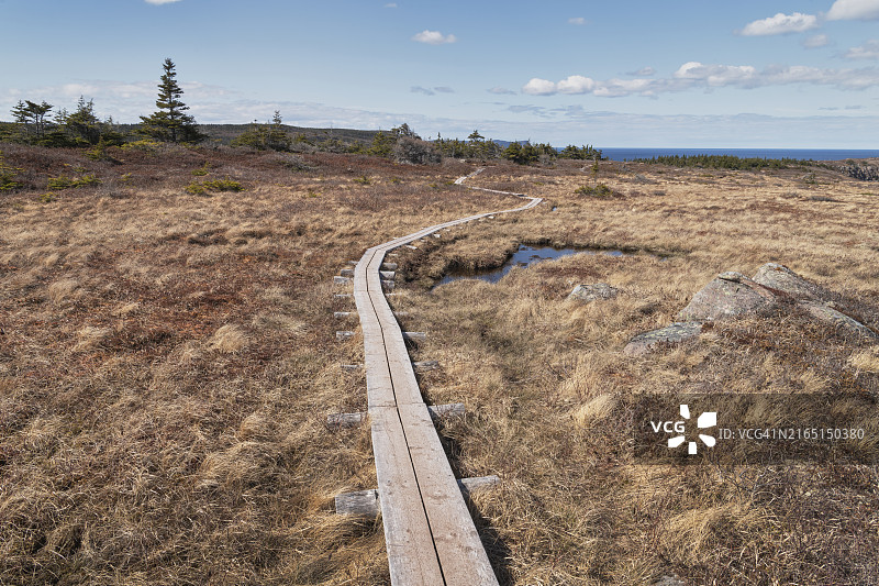 纽芬兰东海岸小径图片素材