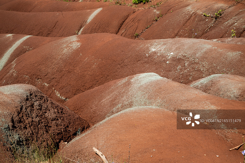 切尔滕纳姆荒地特写图片素材
