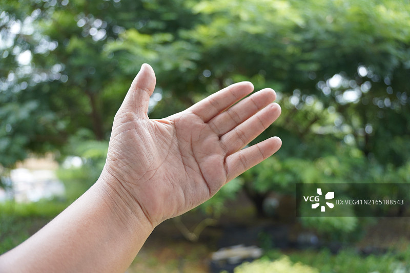 亚洲女性手部特写展示数字五图片素材