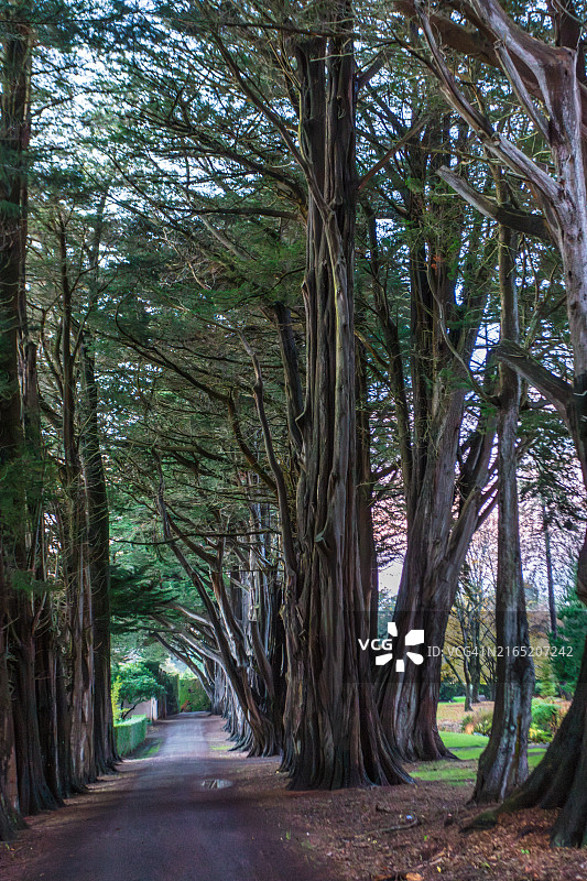 因弗卡吉尔皇后公园图片素材